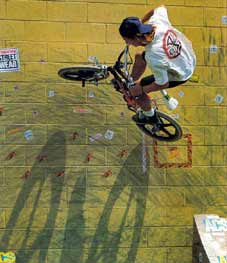 dirt brothers bmx