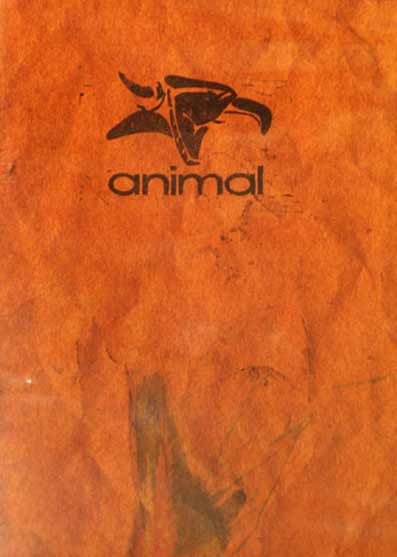 animal all day